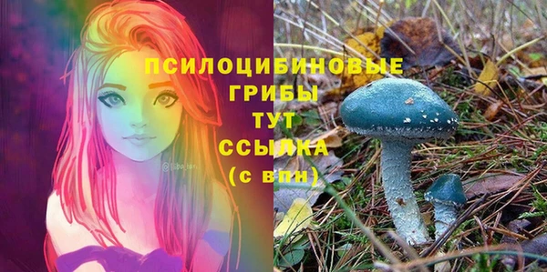 первитин Каменка