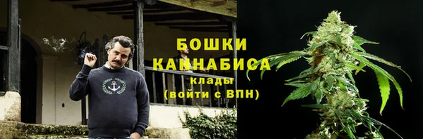 индика Каменск-Шахтинский