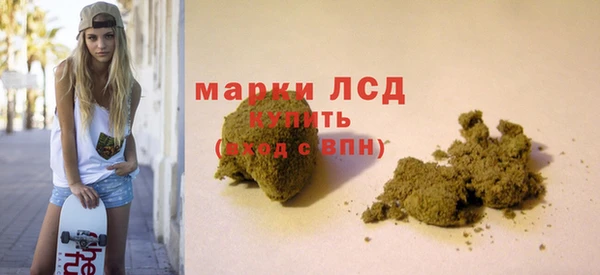 прущие грибы Касимов