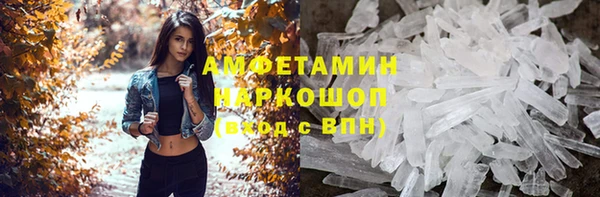 индика Каменск-Шахтинский