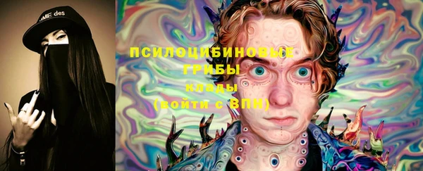 прущие грибы Касимов