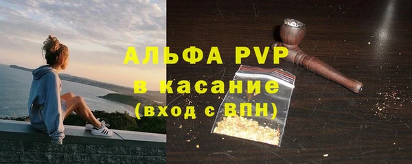 индика Каменск-Шахтинский